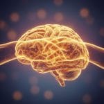 Die Evolution der Liebe: Was unser Herz wirklich antreibt – Ein Blick hinter die Kulissen der Bindung