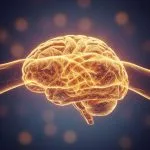 Die Evolution der Liebe: Was unser Herz wirklich antreibt – Ein Blick hinter die Kulissen der Bindung